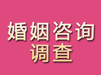 七台河婚姻咨询调查